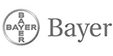 realizzazione sito web Milano, Bayer